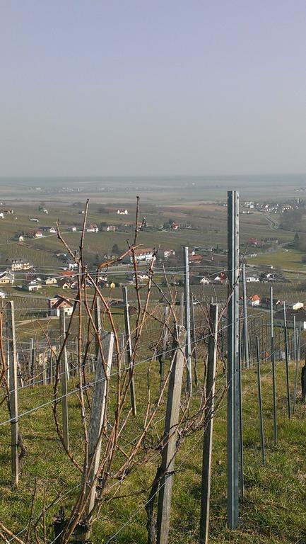 Villa Kellerstöckl Kamper Eisenberg an der Pinka Exterior foto