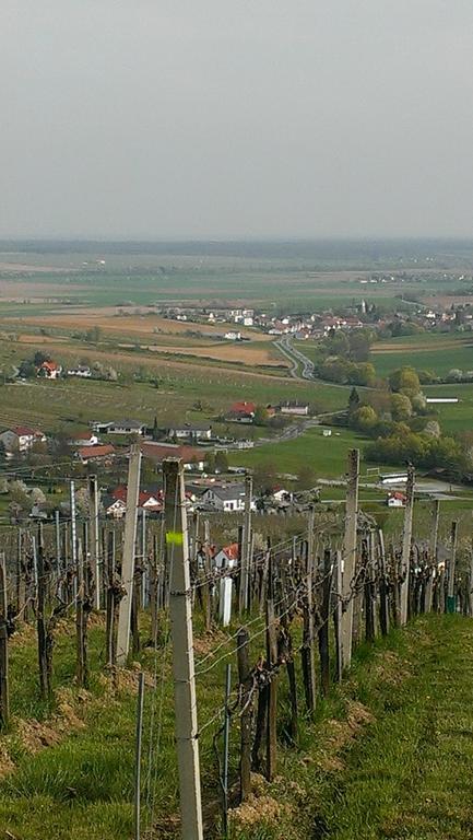 Villa Kellerstöckl Kamper Eisenberg an der Pinka Exterior foto